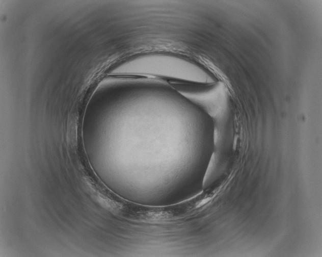 X0000083610493200702260931