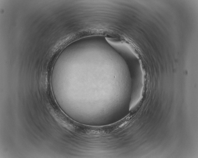 X0000083610494200702260931