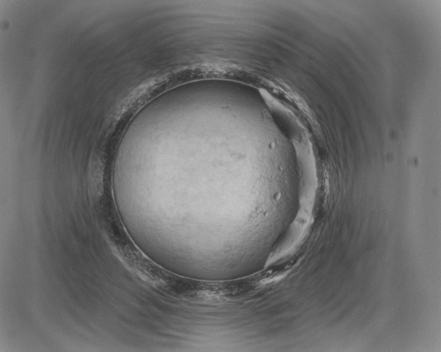 X0000083610496200702260931