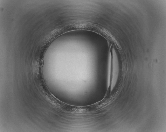 X0000083610497200702260931