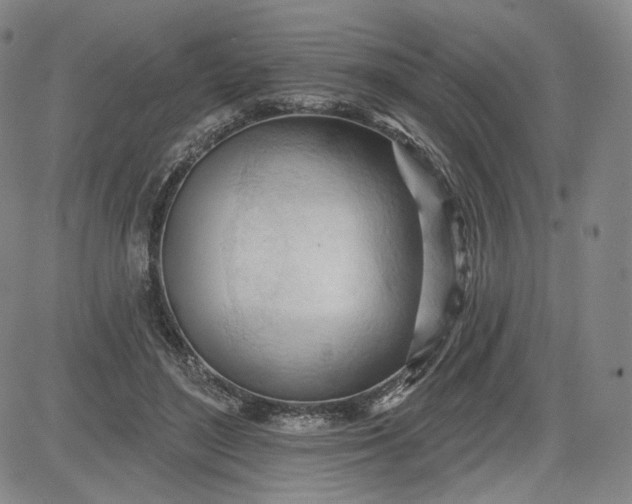 X0000083610500200702260931