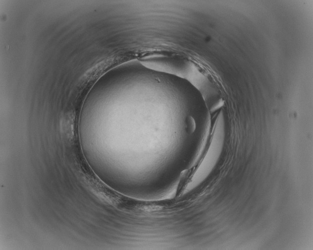 X0000083610501200702260931