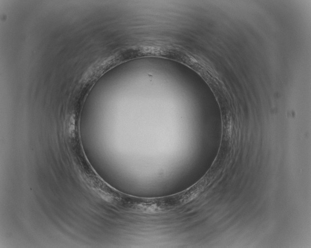 X0000083610502200702260931