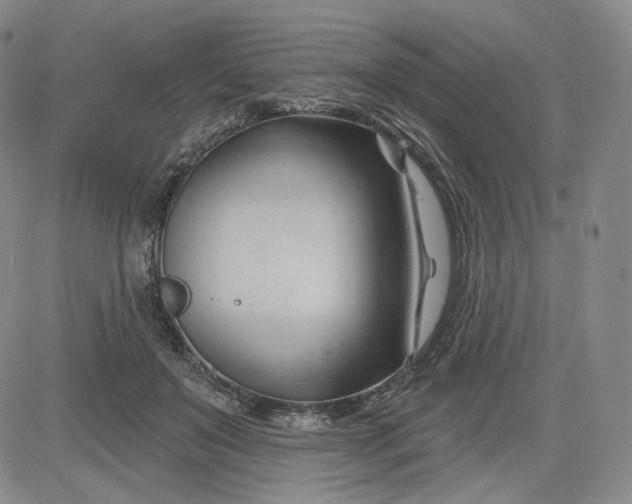 X0000083610503200702260931