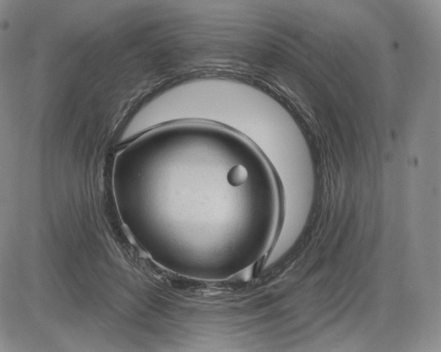 X0000083610504200702260931