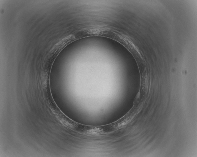 X0000083610505200702260931