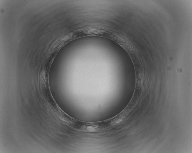 X0000083610506200702260931