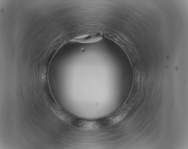 X0000083610507200702260931