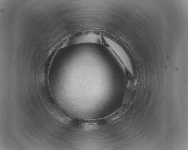 X0000083610508200702260931