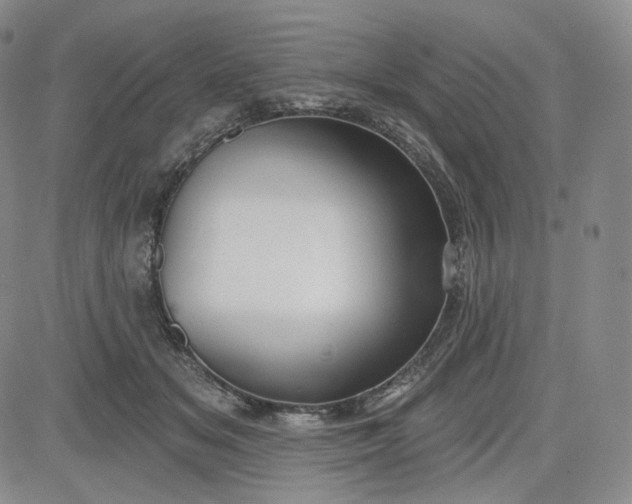 X0000083610509200702260931