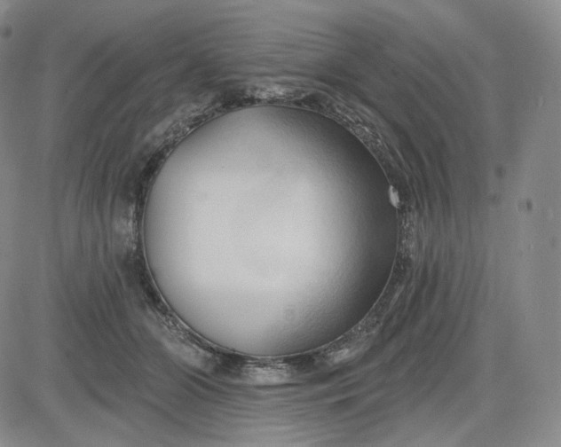 X0000083610510200702260931