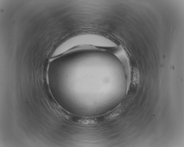 X0000083610512200702260931