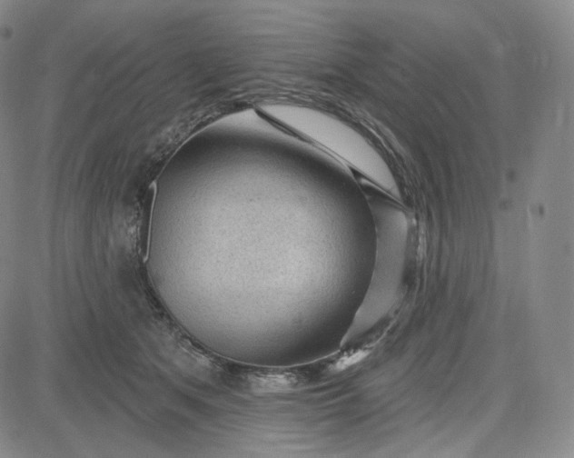 X0000083610513200702260931