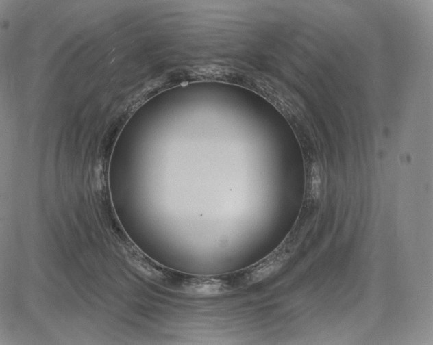 X0000083610514200702260931