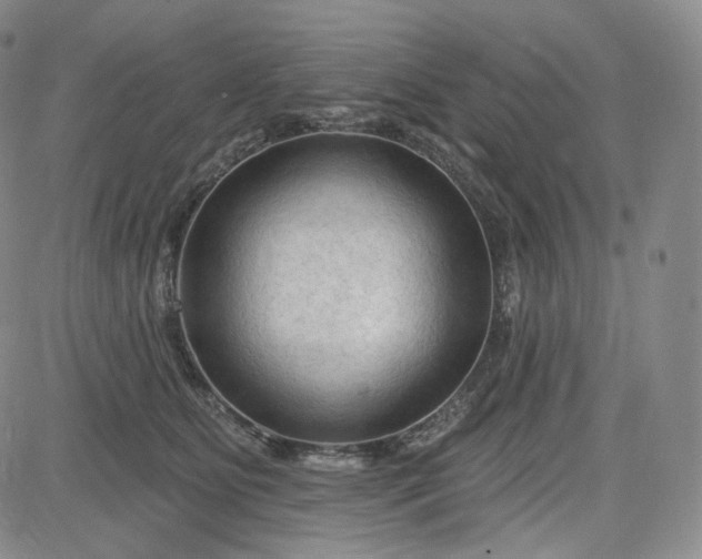 X0000083610515200702260931