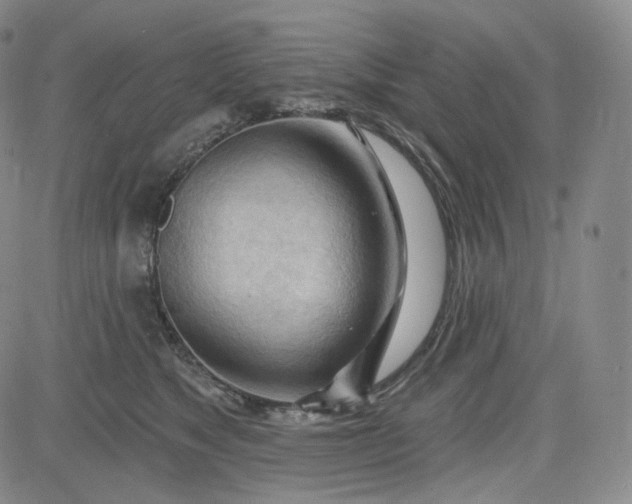 X0000083610517200702260931