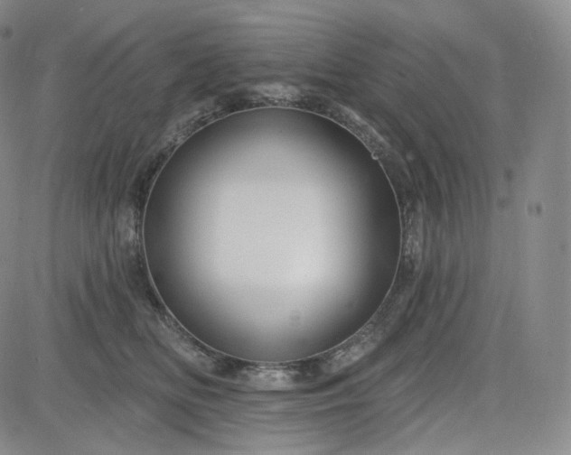 X0000083610518200702260931