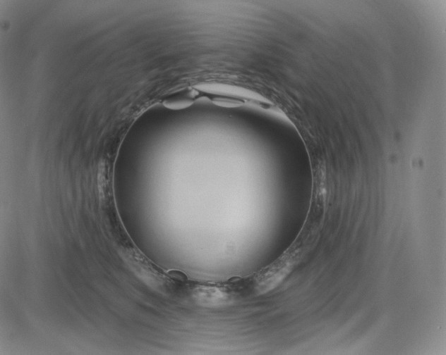 X0000083610519200702260931