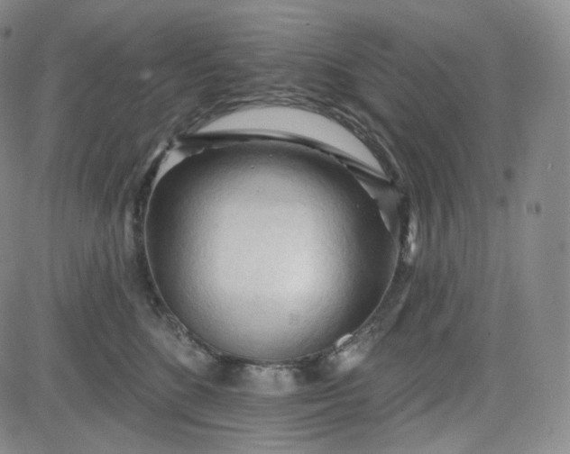 X0000083610520200702260931