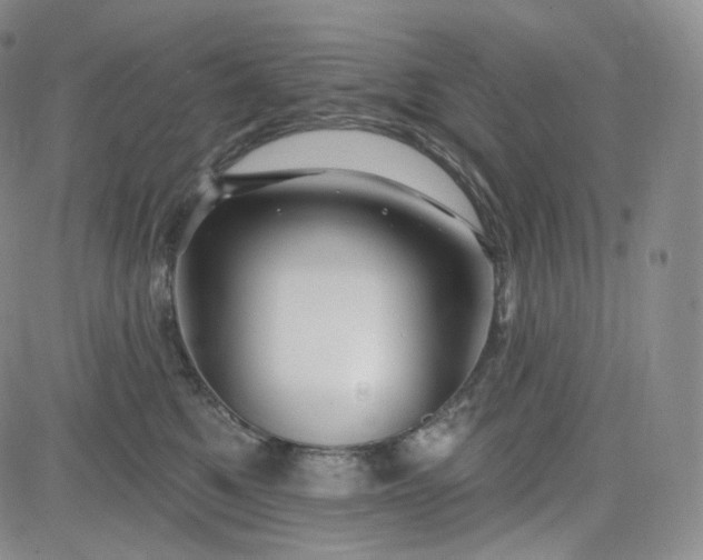 X0000083610521200702260931