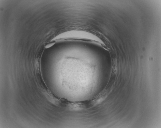 X0000083610523200702260931