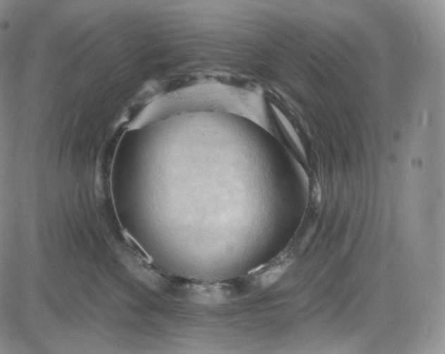 X0000083610524200702260931