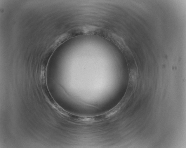 X0000083610527200702260931