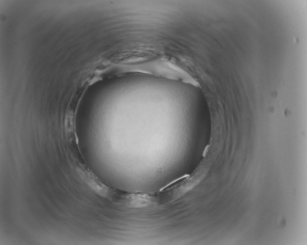 X0000083610528200702260931