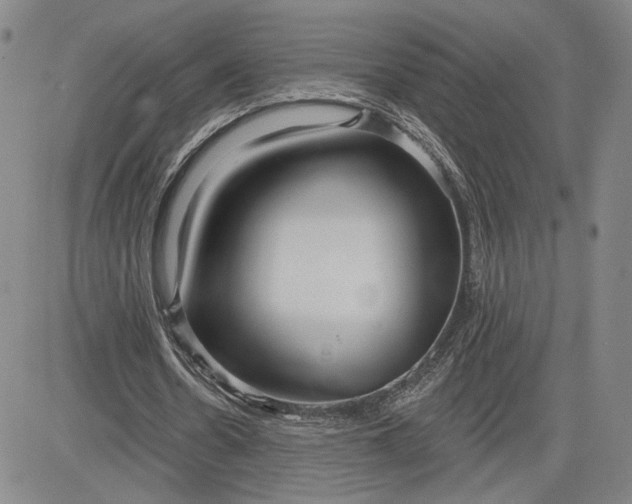 X0000083610530200702260930