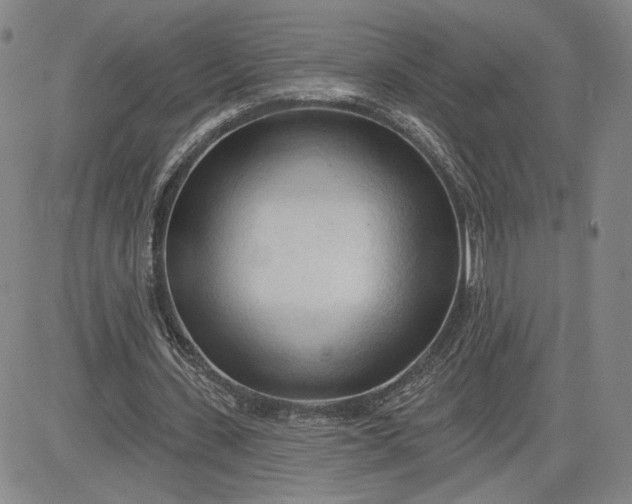 X0000083610531200702260930