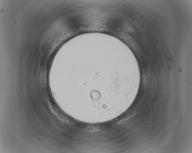 X0000083610534200702260930