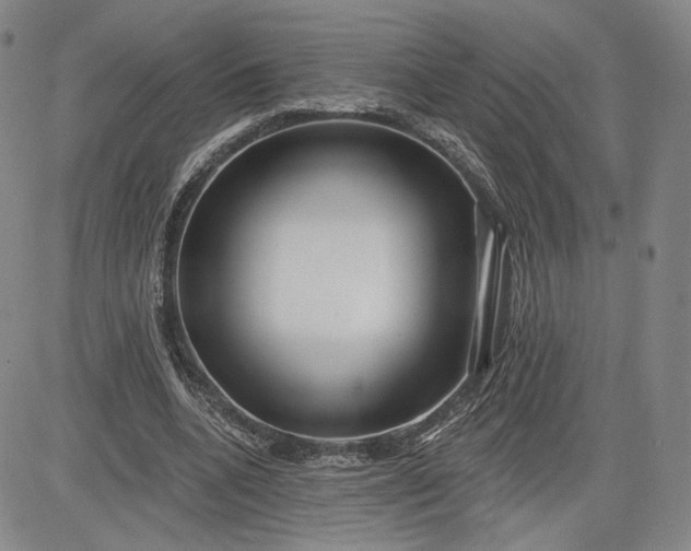 X0000083610536200702260930