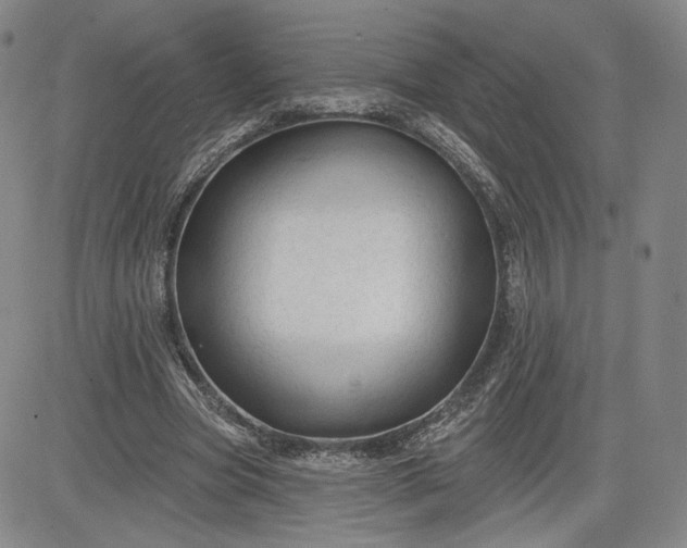 X0000083610537200702260930