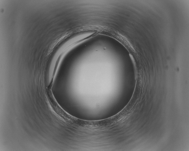 X0000083610538200702260930