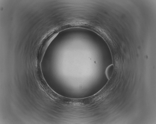 X0000083610539200702260930