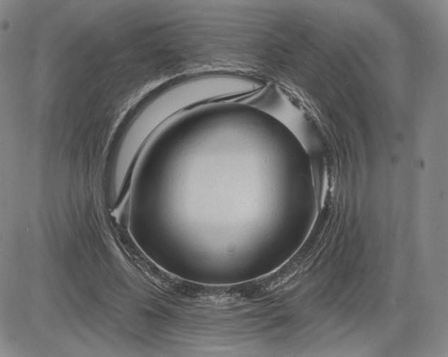 X0000083610540200702260930