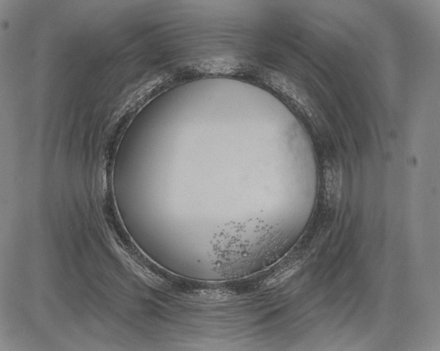 X0000083610541200702260930