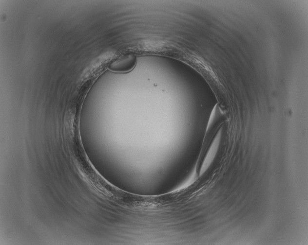 X0000083610542200702260930