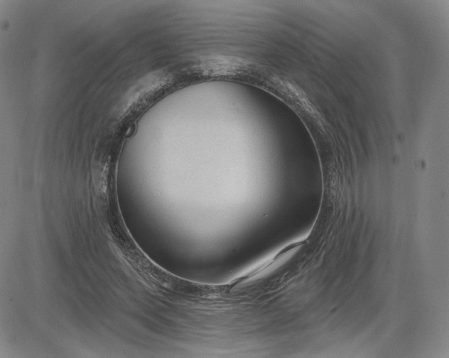 X0000083610543200702260930