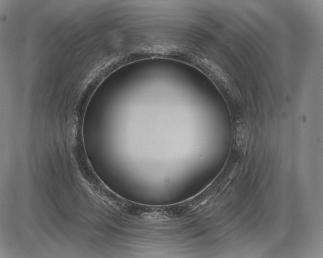 X0000083610544200702260930