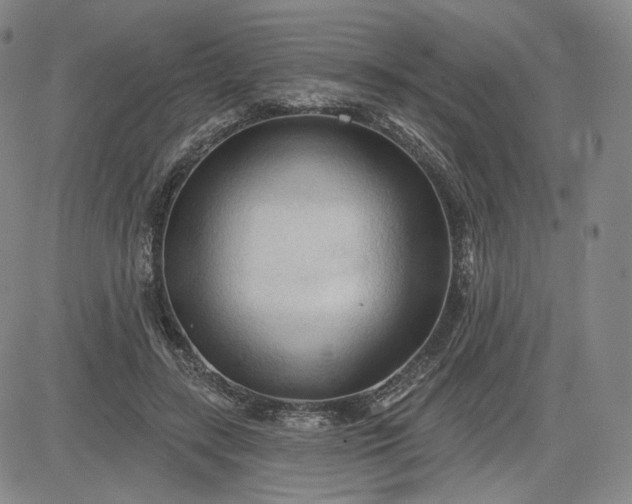 X0000083610547200702260930