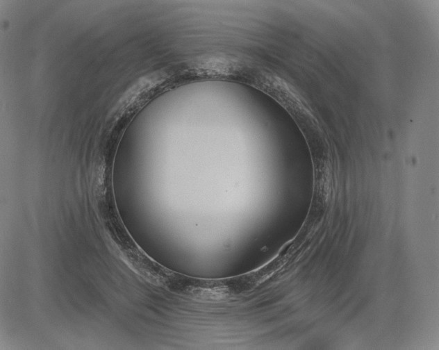 X0000083610548200702260930