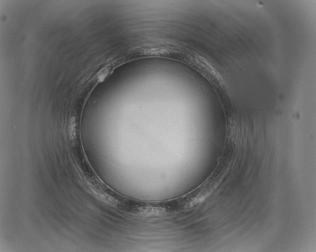 X0000083610549200702260930