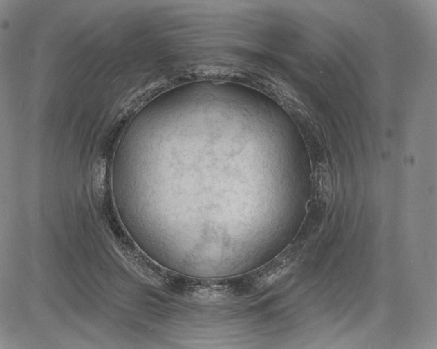 X0000083610550200702260930