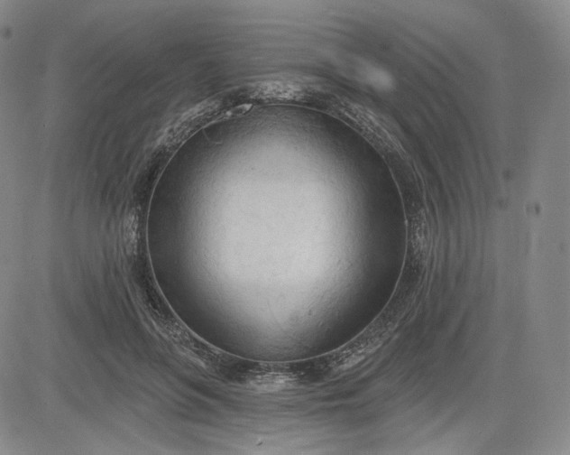 X0000083610551200702260930