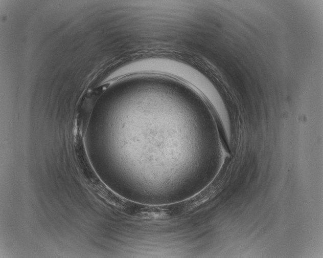 X0000083610552200702260930