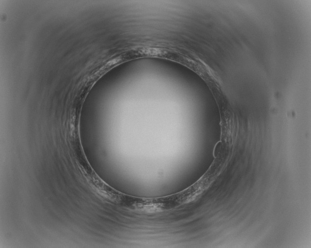 X0000083610553200702260930