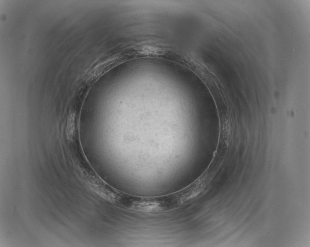 X0000083610554200702260930