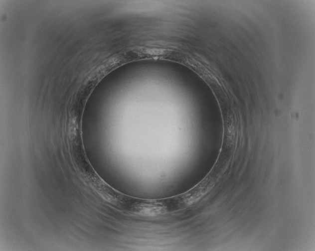 X0000083610555200702260930