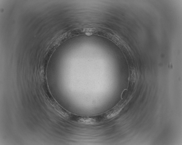 X0000083610557200702260930